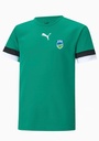 Puma VSD unisex technikai edzőpóló