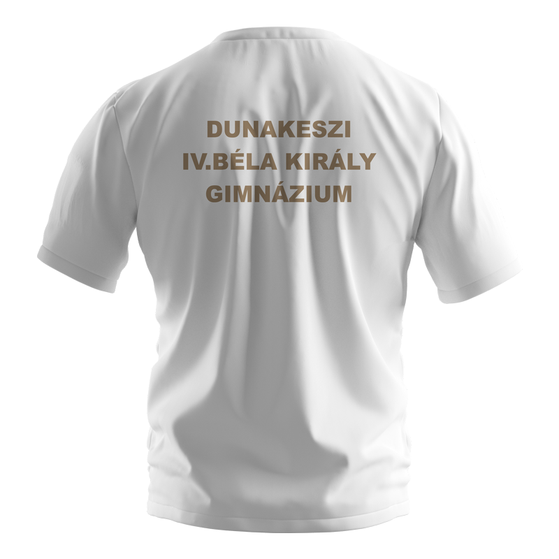 Lányi Ferenc logózott iskolai torna póló (másolat)