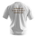 Lányi Ferenc logózott iskolai torna póló (másolat)