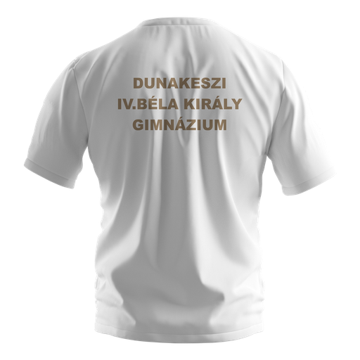 Lányi Ferenc logózott iskolai torna póló (másolat)